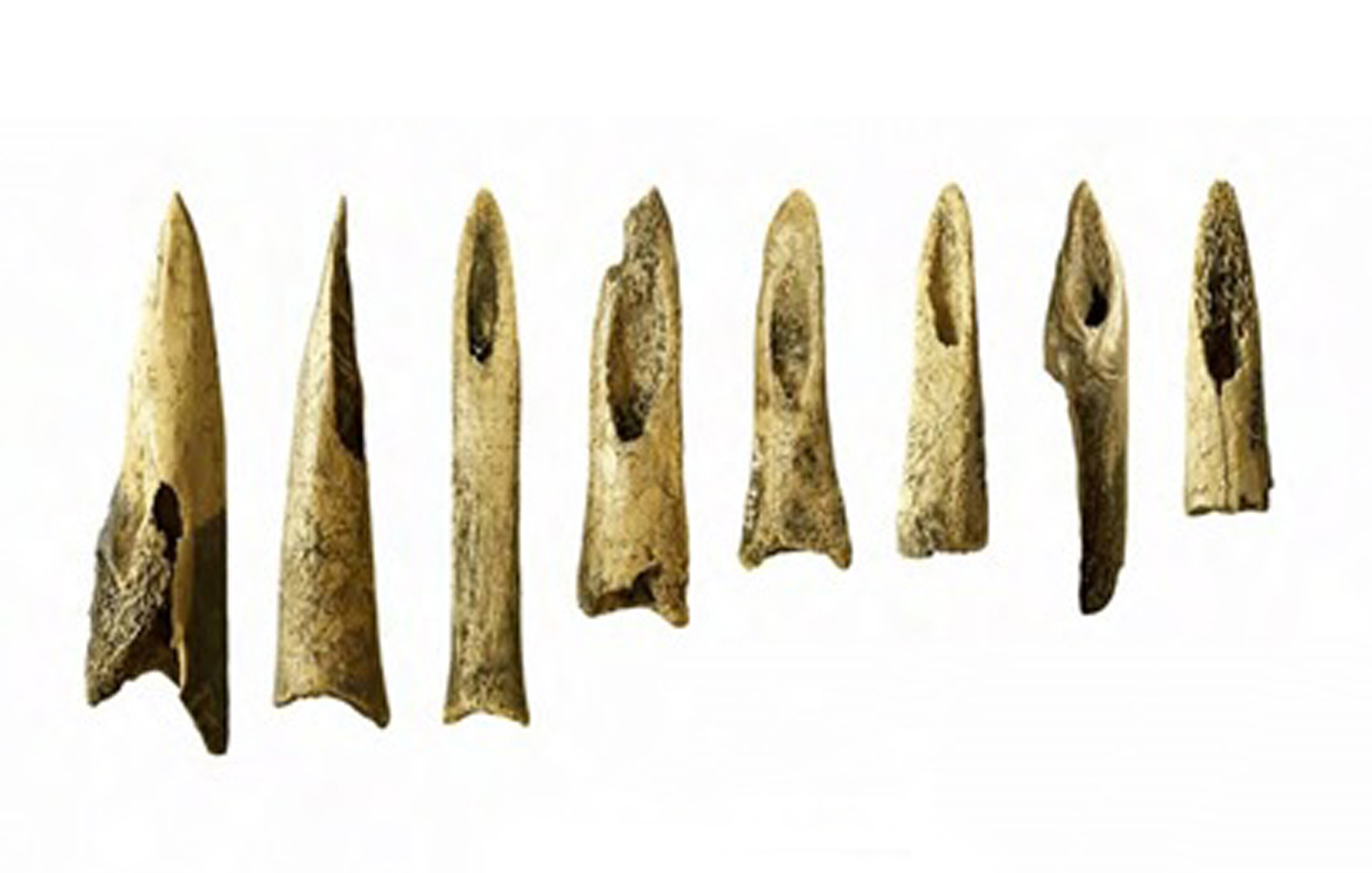 Pointes iroquoiennes